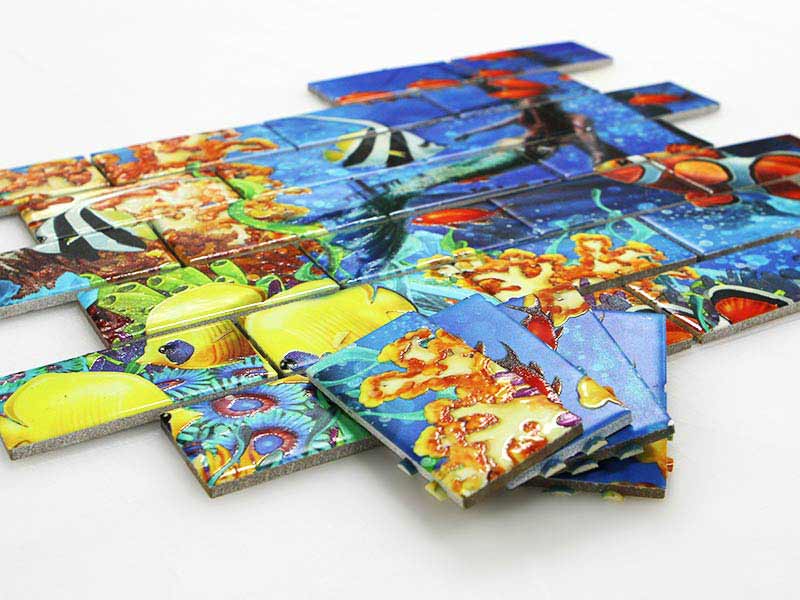 Ceramic Tile Printing Machines | Roland