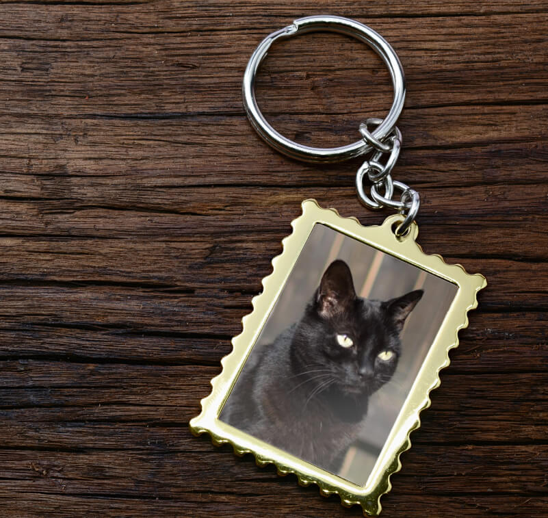Photo of a black cat printed onto a metal keyring