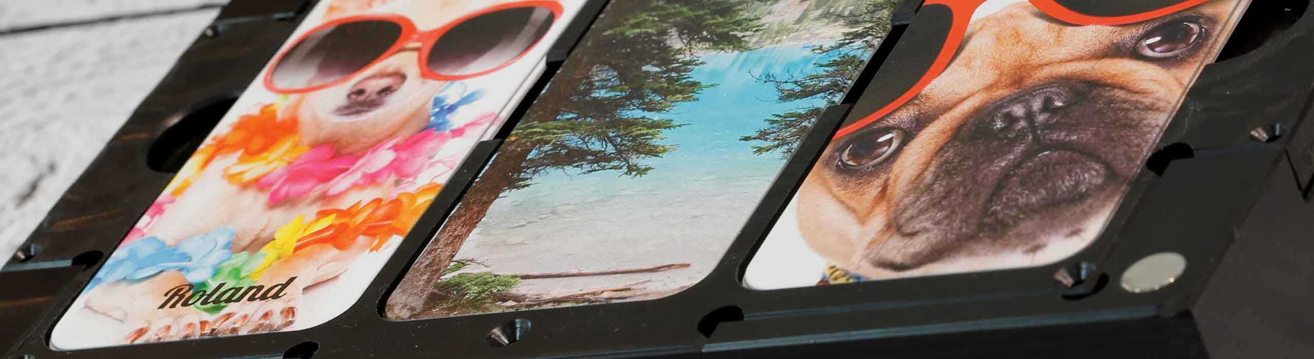Gabarit de téléphone pour imprimante UV LEF avec 4 coques représentant des chiens avec des lunettes de soleil et des motifs thématiques plage