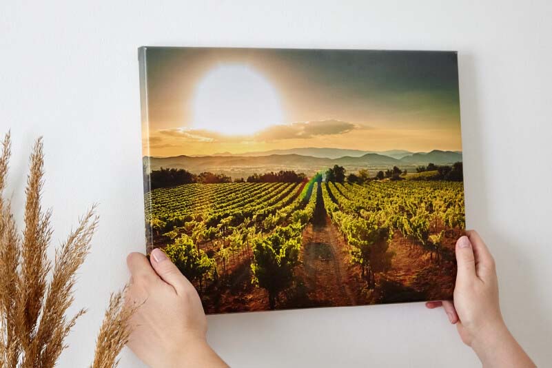 Image of printed canvas being hung on a wall